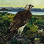 Bruno Caruso - Falco sullo stretto di Messina