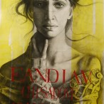 Alessandra Pennini - Nel lume dei tuoi occhi grigi